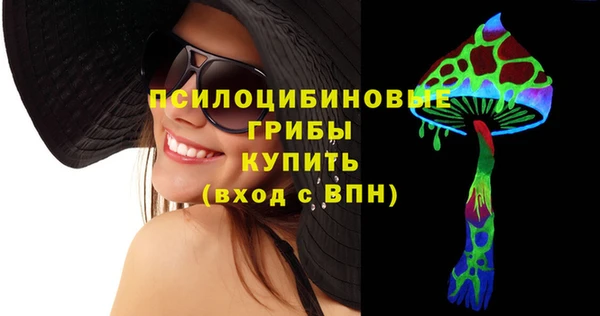 индика Балахна
