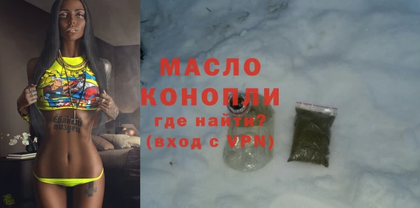 индика Балахна