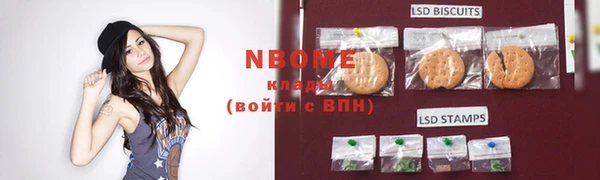 индика Балахна
