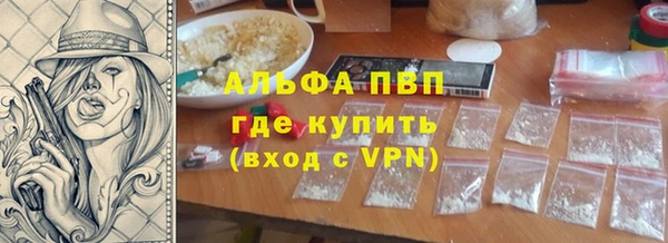 индика Балахна