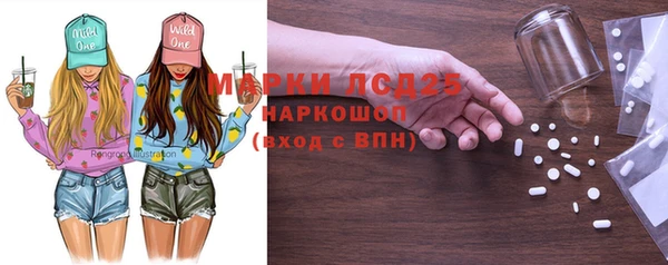 индика Балахна