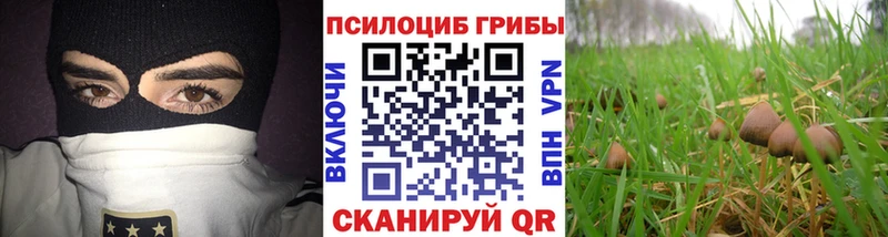 Псилоцибиновые грибы ЛСД  что такое   Орлов 